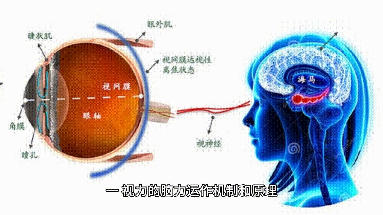 锻炼大脑视神经恢复视力方法,利用大脑潜能提高视力