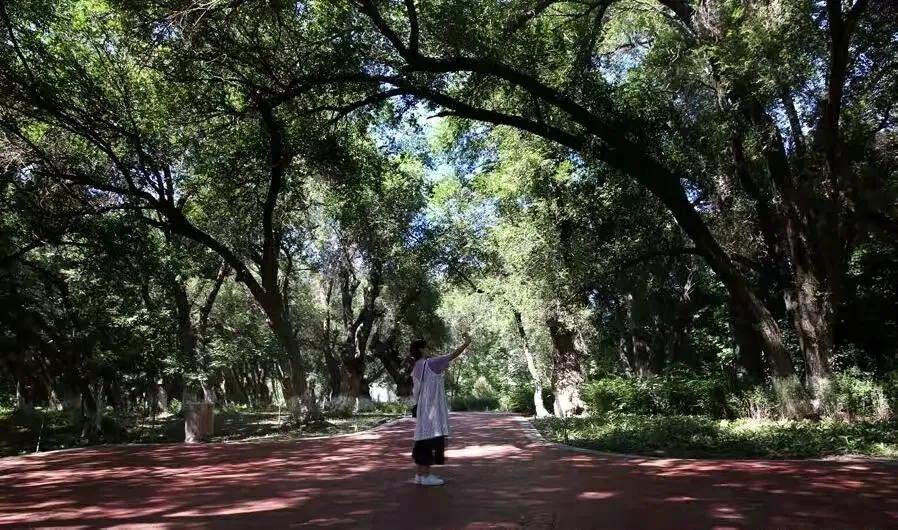 乌鲁木齐2020年十大公园,乌鲁木齐公园数量