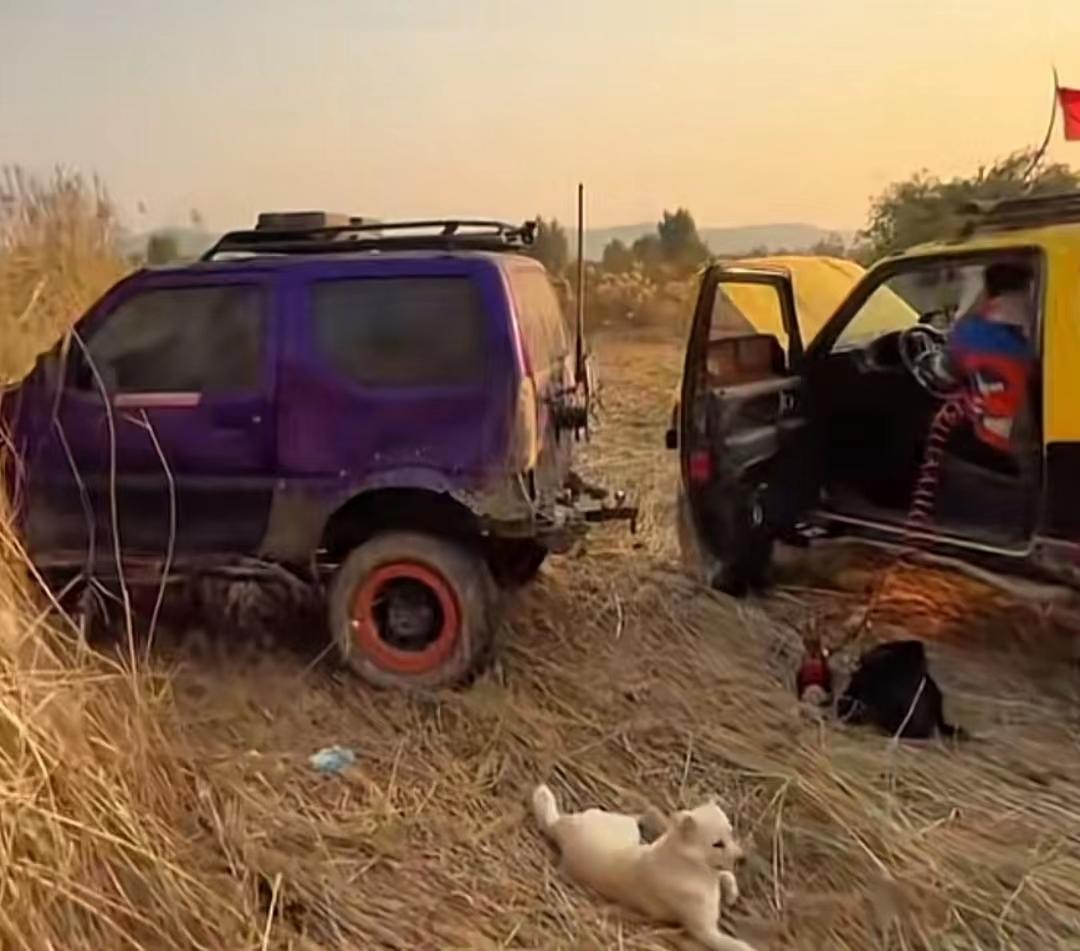 22年郑州5人1狗露营被困22天，靠居民投喂生存，荒野求生结局如何