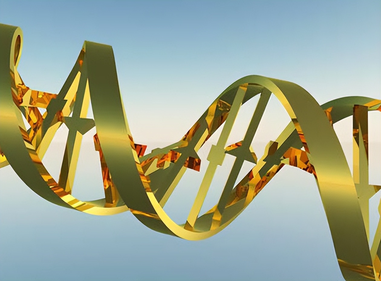 纤维素酶在农业上的应用图片,纤维素酶在膨化食品中应用