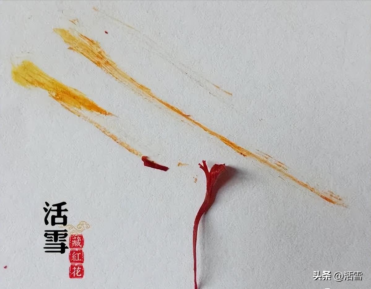 藏红花真假辨别视频,藏红花真假最科学的鉴别方法