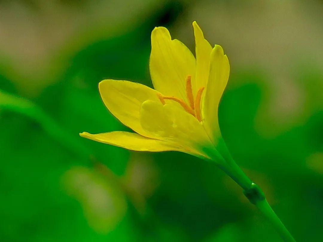 金子般的10句话经典,金子般的八句话值得一看