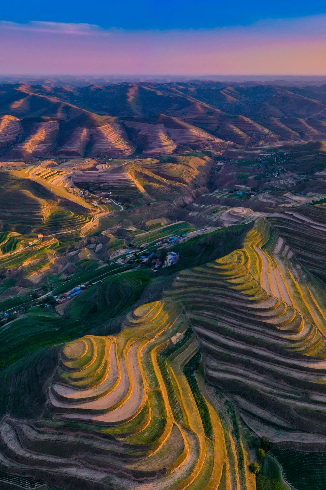 吃面大省甘肃，为什么离不开杂粮？
