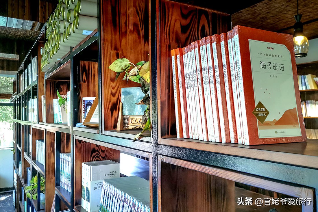 诗人海子珍贵视频,诗人海子经典语录