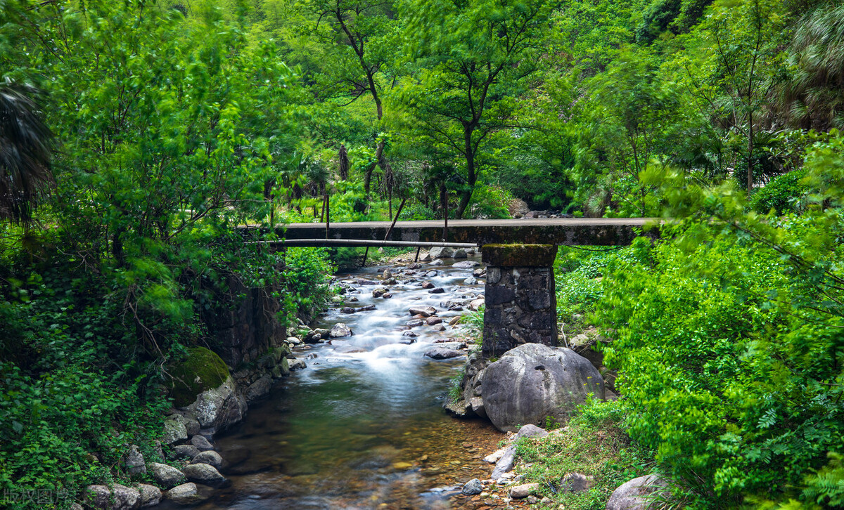 10首春日诗词带来满满的春日希望,意境唯美的春日诗词