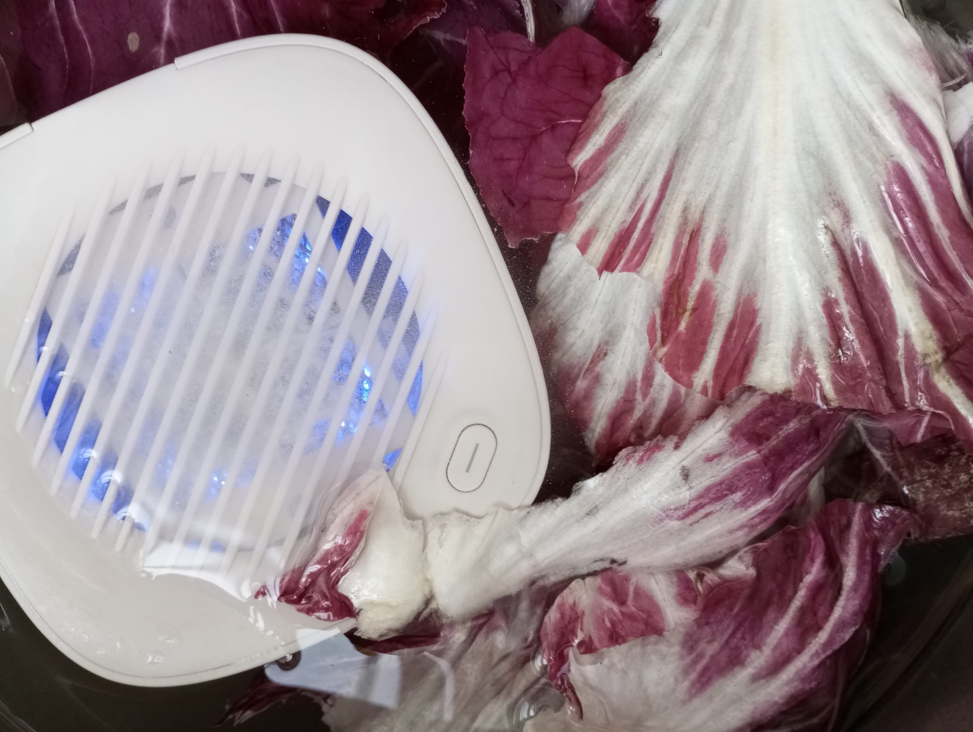 清洗果蔬机的故障与维修,果蔬全自动清洗机