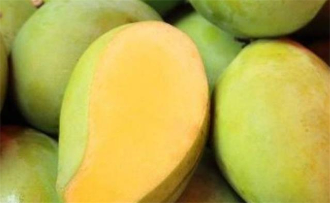 怎么快速有效的催熟芒果,青芒果如何催熟最快