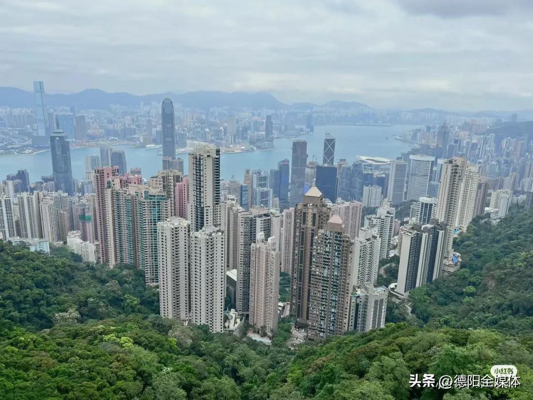 从成都坐动车去香港,顺德乘坐高铁去香港