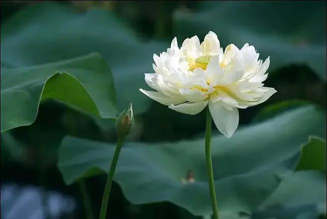 相由心生如何修炼,相由心生怎样才能变好看