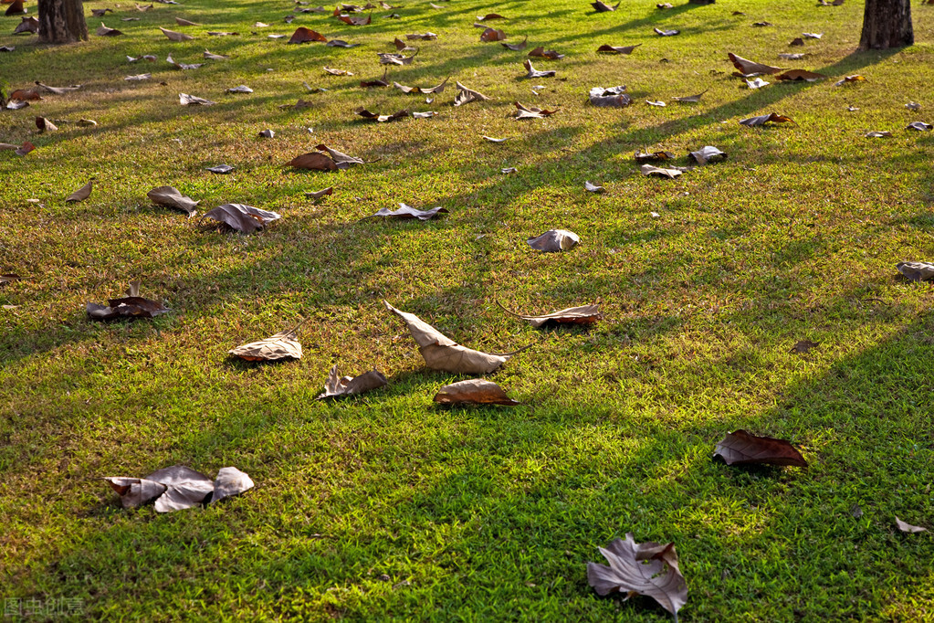 泰国曼谷著名遗产旅游地,曼谷名胜古迹