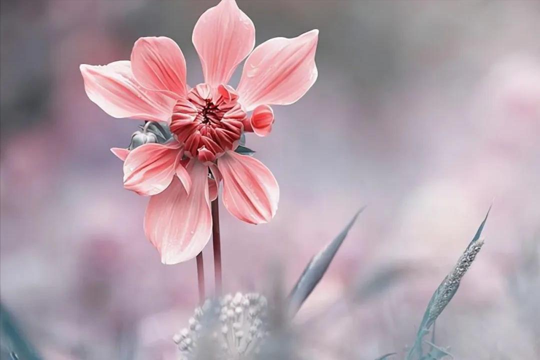 亲戚之间有哪些事是必须随礼的,记住再好的关系也不要有钱财往来