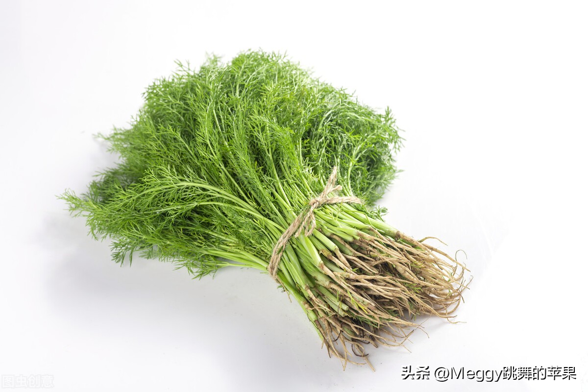 纯茴香馅包子怎么做好吃,茴香馅包子怎么调着好吃