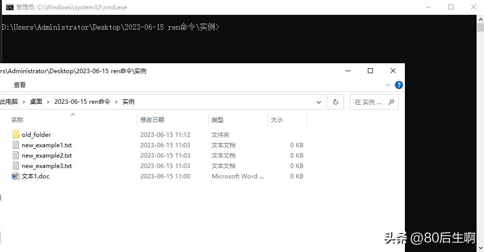 ren命令的批量使用方法,如何用ren命令批量修改不同文件夹
