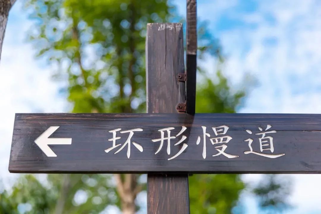 济南四大免费公园,济南小公园游玩攻略