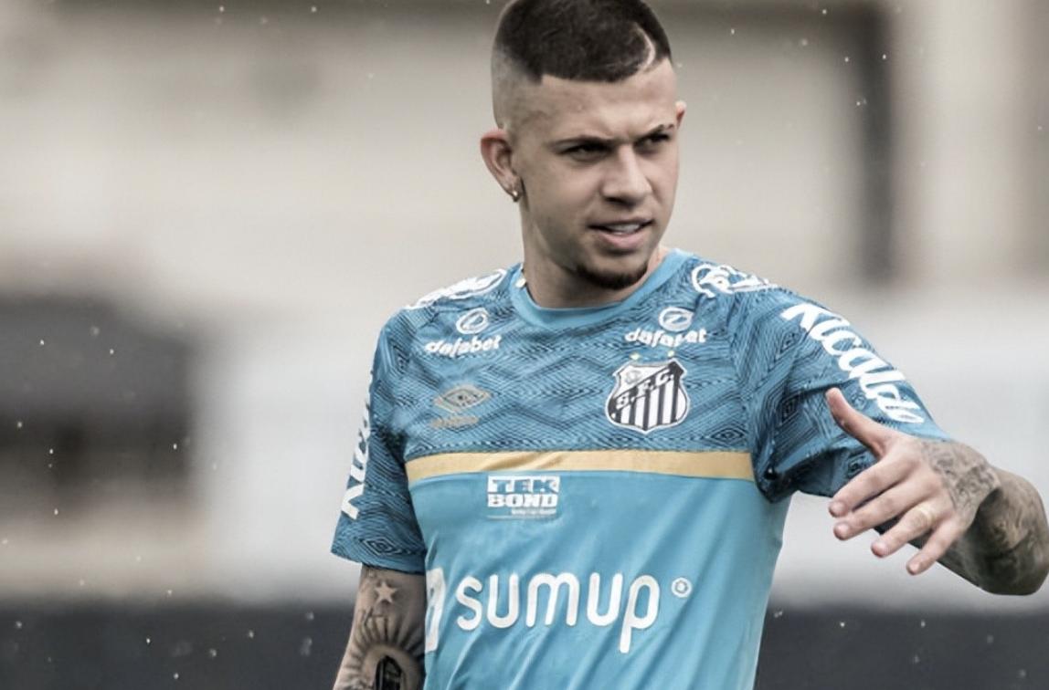 桑托斯对巴西甲,巴西甲桑托斯