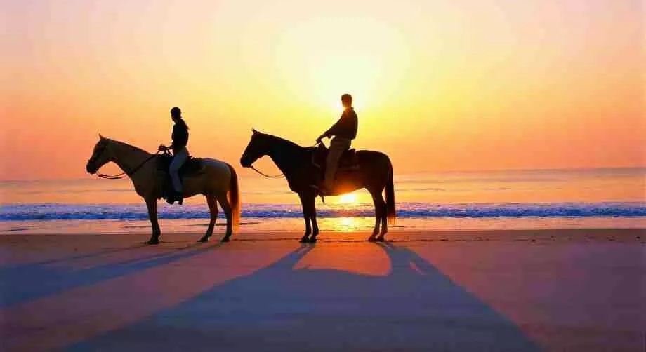 2023华杯赛夏令营,华誉外交官