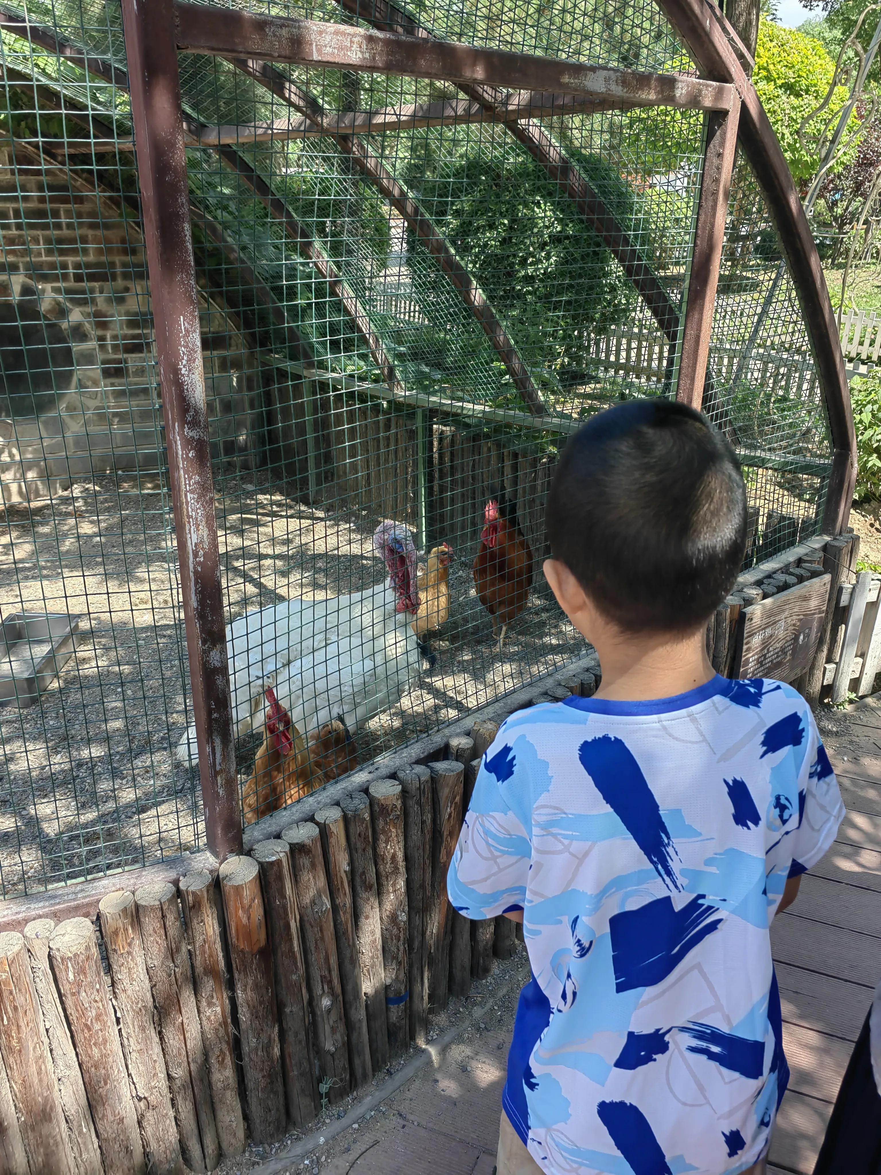 北京南宫五洲植物乐园测评,北京南宫五洲植物乐园视频