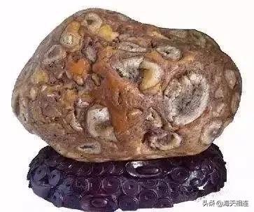 难得一见的仙鹤假奇石,这些难得一见的奇石美醉了