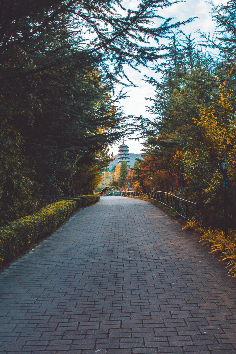 济南小众秋景好的地方,济南最近很火的打卡地秋天