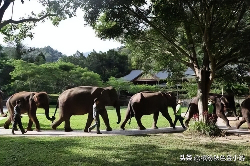 西双版纳旅游景点有哪些地方,云南西双版纳傣族自治州旅游景点