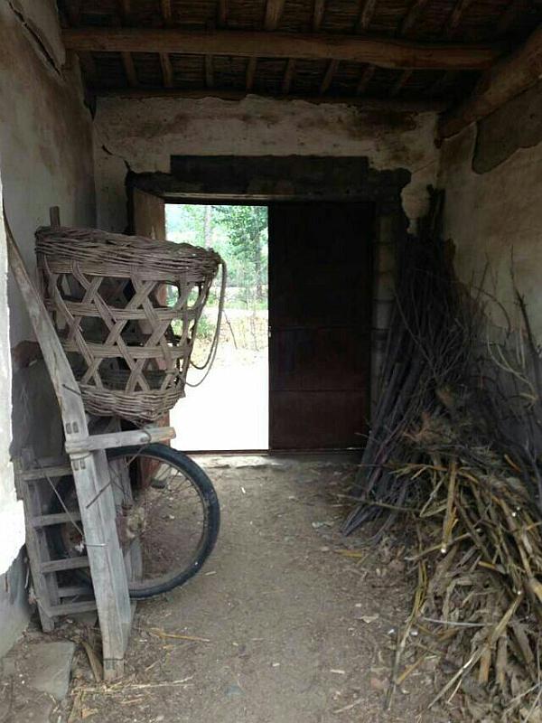 广东14岁少女被欺凌,花季少女被继父欺凌