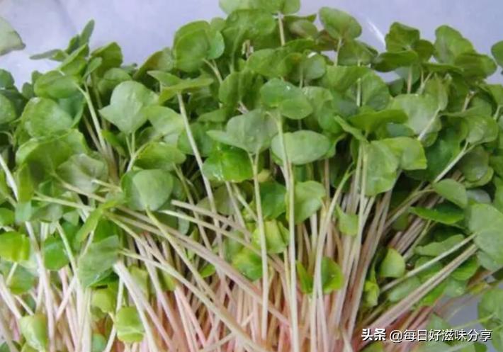 怎样处理发芽的土豆不会有毒,土豆发芽的应急处理方法是什么