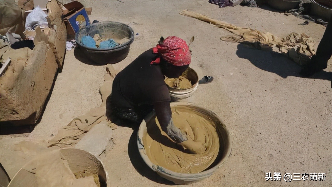 非洲人为啥宁愿吃土也不爱种地？看看“上海青”大概就明白了