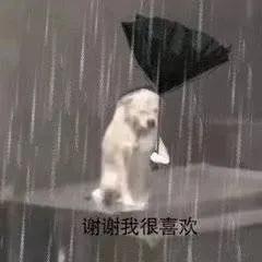 最近比较火的小狗表情包,最近特别火的小狗表情包