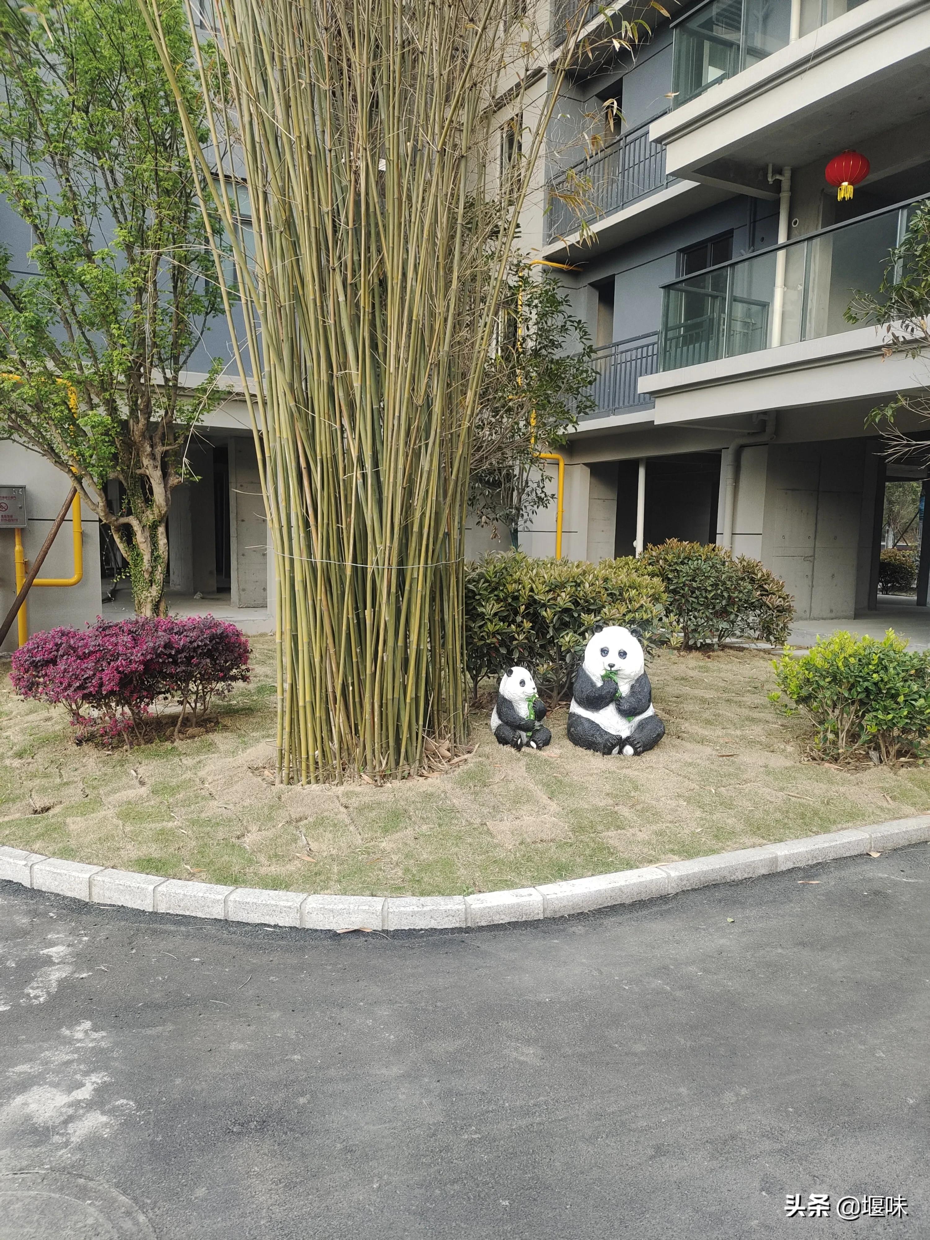 十堰市是湖北第二大城市吗,十堰位于几线城市