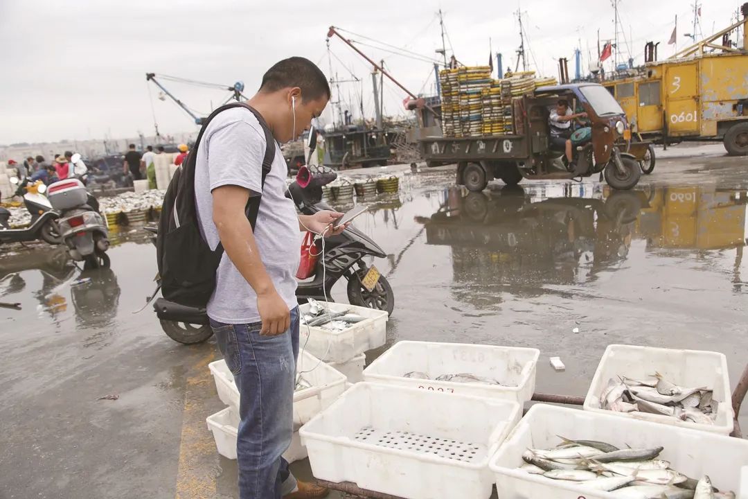 石狮开海直播预告,石狮永宁梅林渔港开海直播