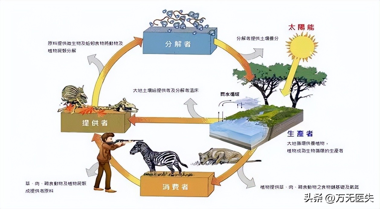 哪些鸡蛋检出兽药超标,重点曝光多批鸡蛋检出兽药