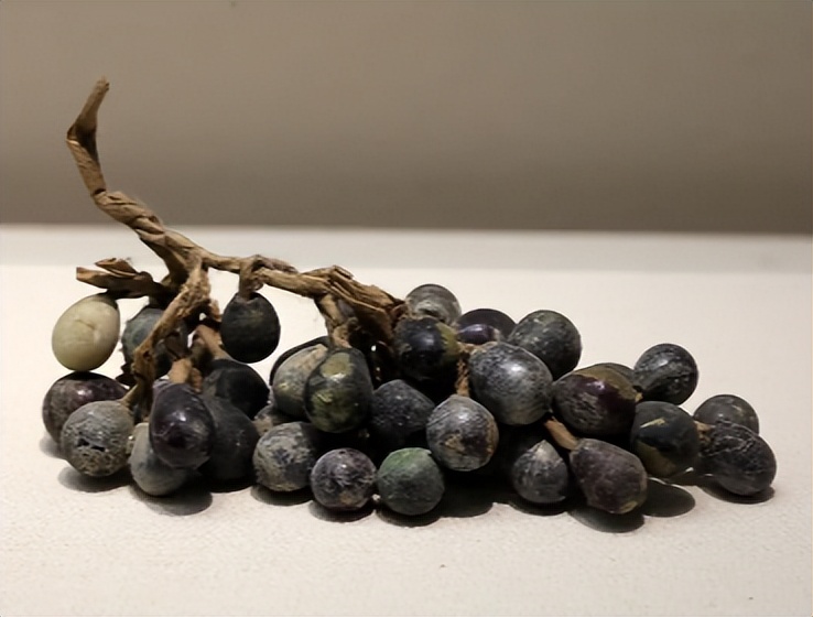 大学读了个土木工程,大学读的我很累很烦