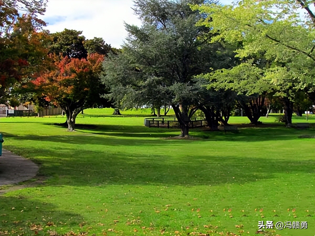 大洋洲旅游,新西兰罗托鲁瓦湖旅游攻略