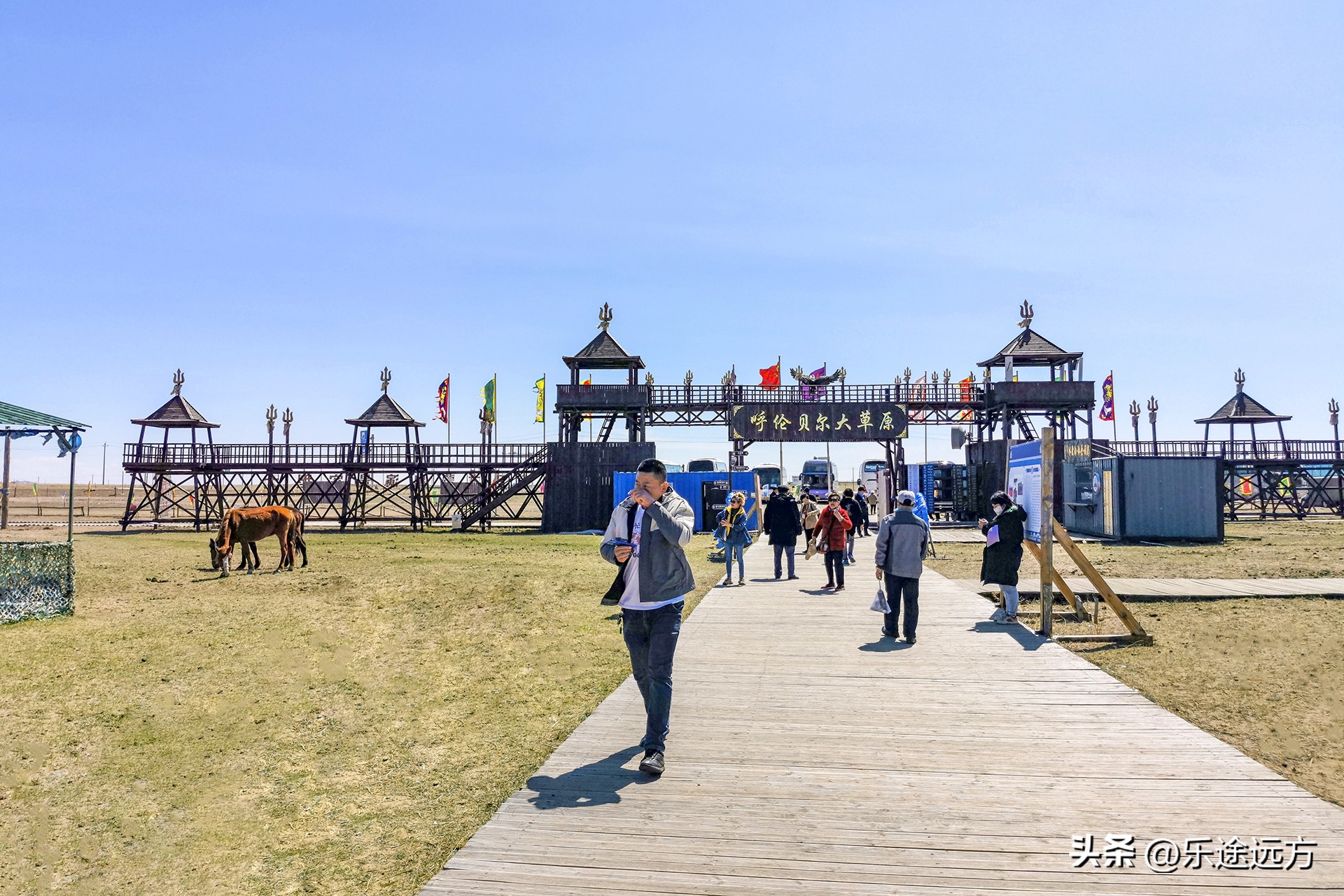 呼伦贝尔烤全羊烤全牛,呼伦贝尔大草原烤全羊