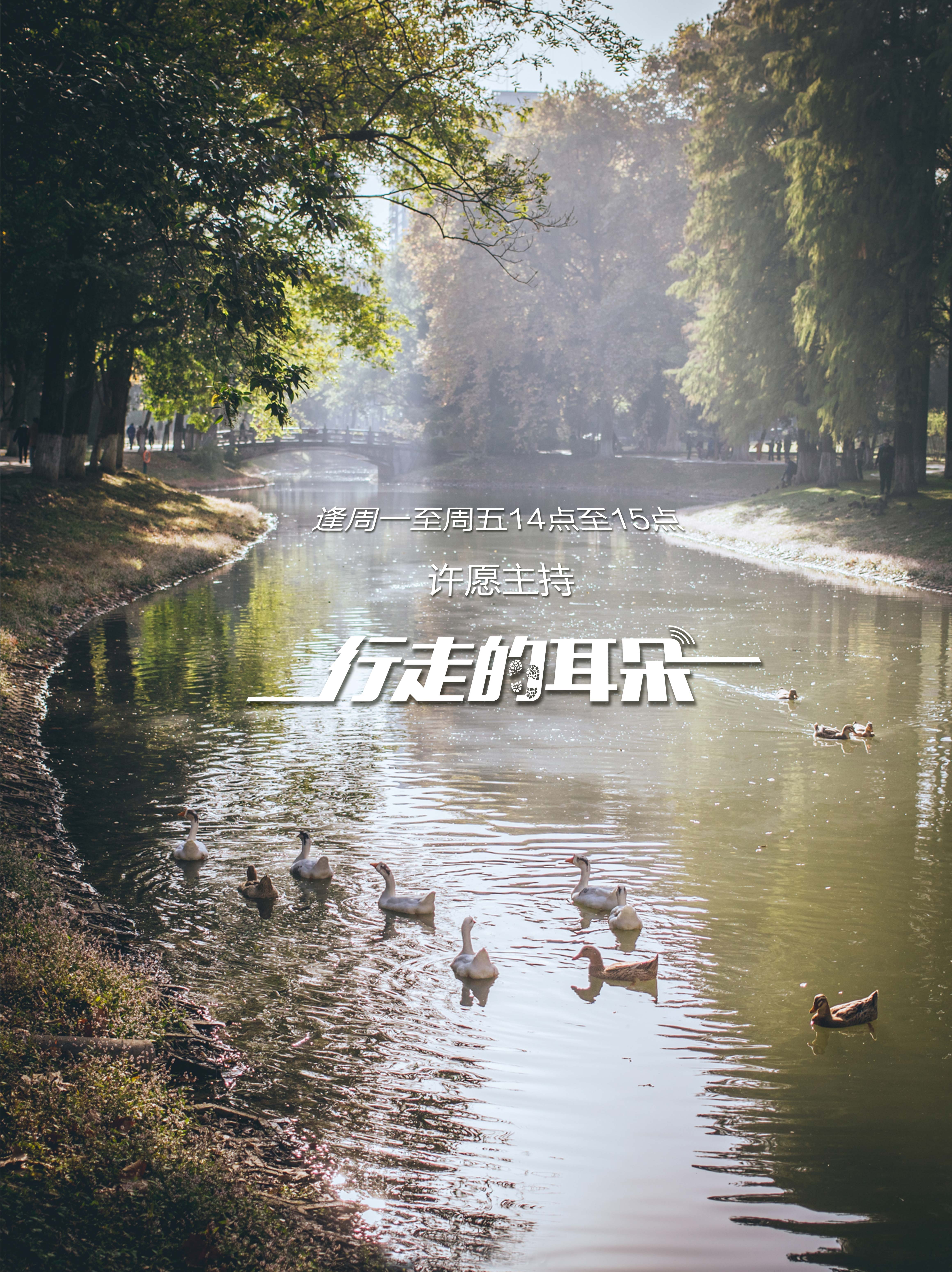 武汉知音号景点打卡,武汉知音号元宵节