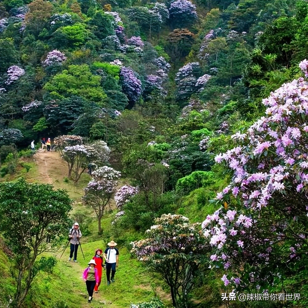 海岸线：邂逅*江阳**——感受这座慢节奏小城文化底蕴感悟人文之美