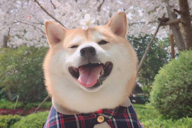 3招赶走你的坏情绪心理焦虑,感觉压抑情绪得不到释放