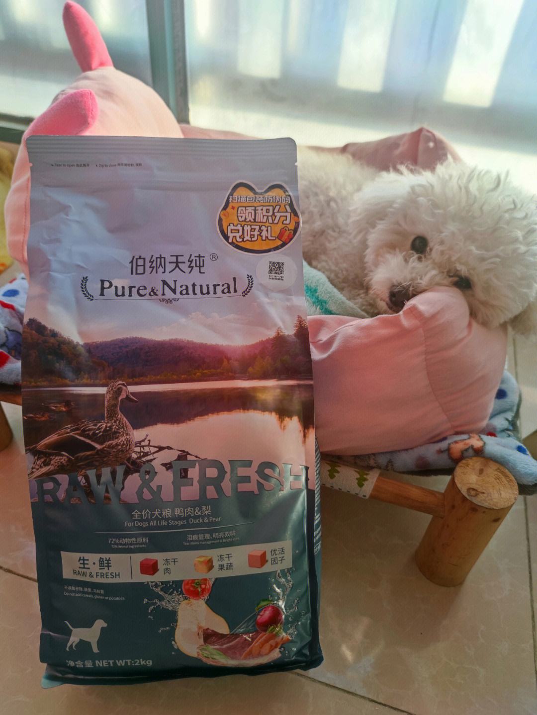 狗粮什么牌子好4款狗粮实测,什么样牌子的狗粮比较好