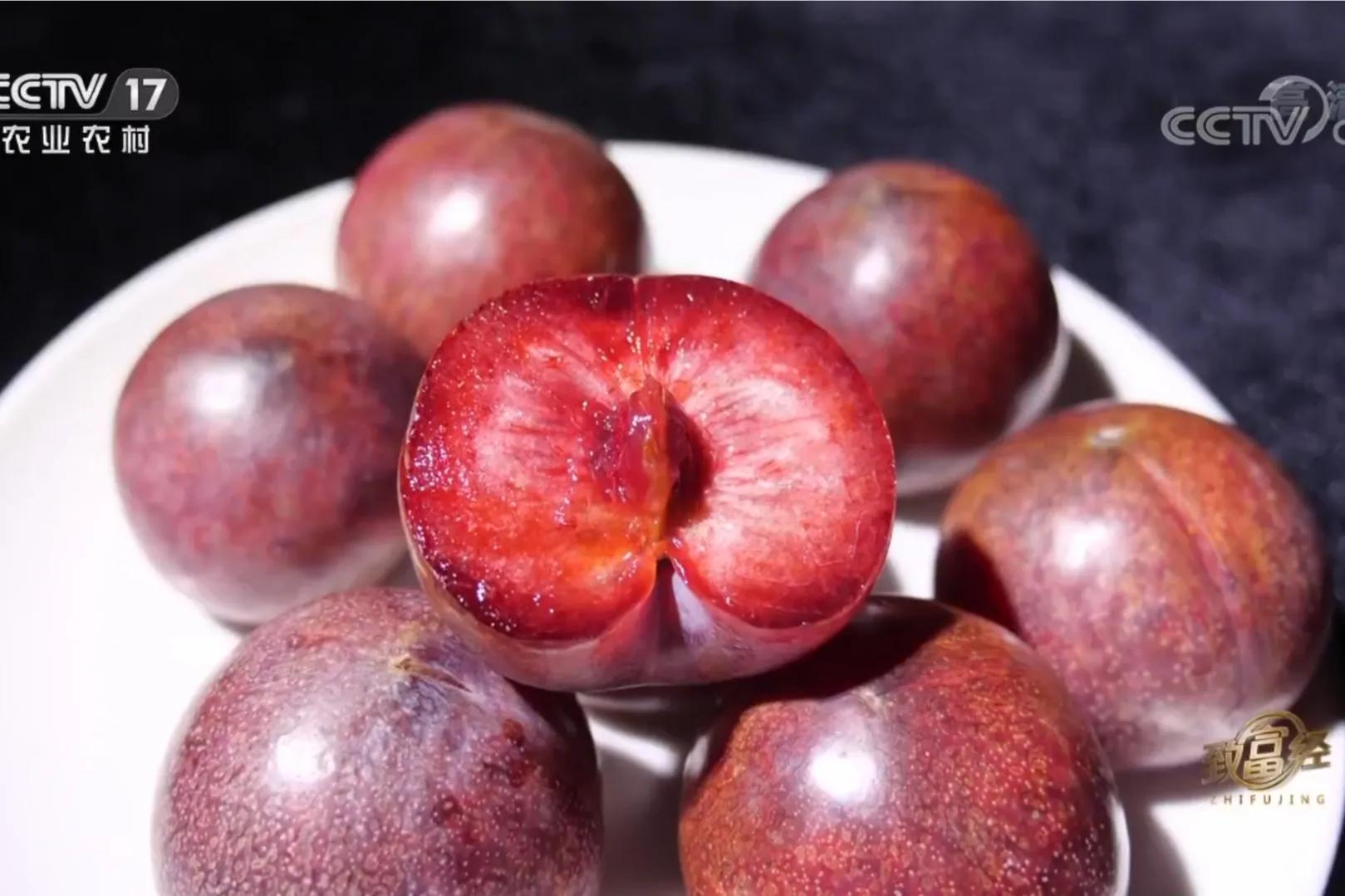 湖南女子承包1000亩土地，如今土地变成聚宝盆，年销售额4000多万