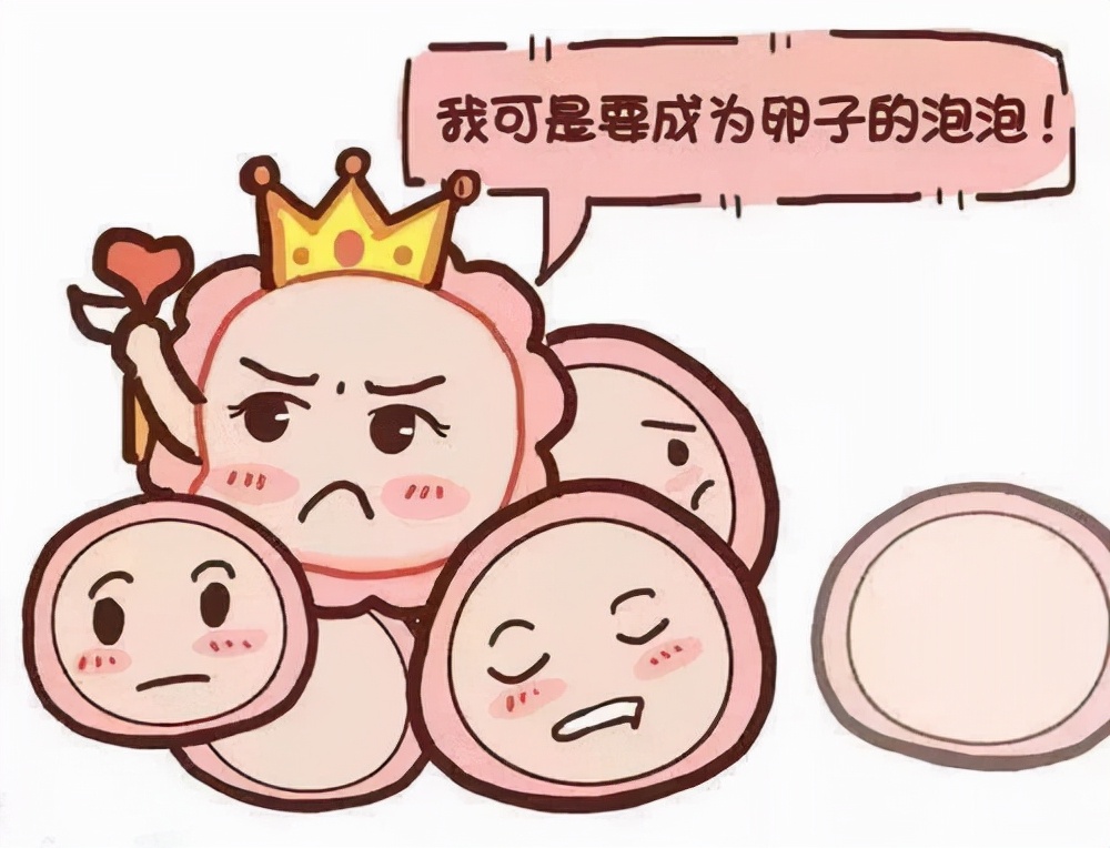 如何培育胖胖圆圆的好“卵子”？
