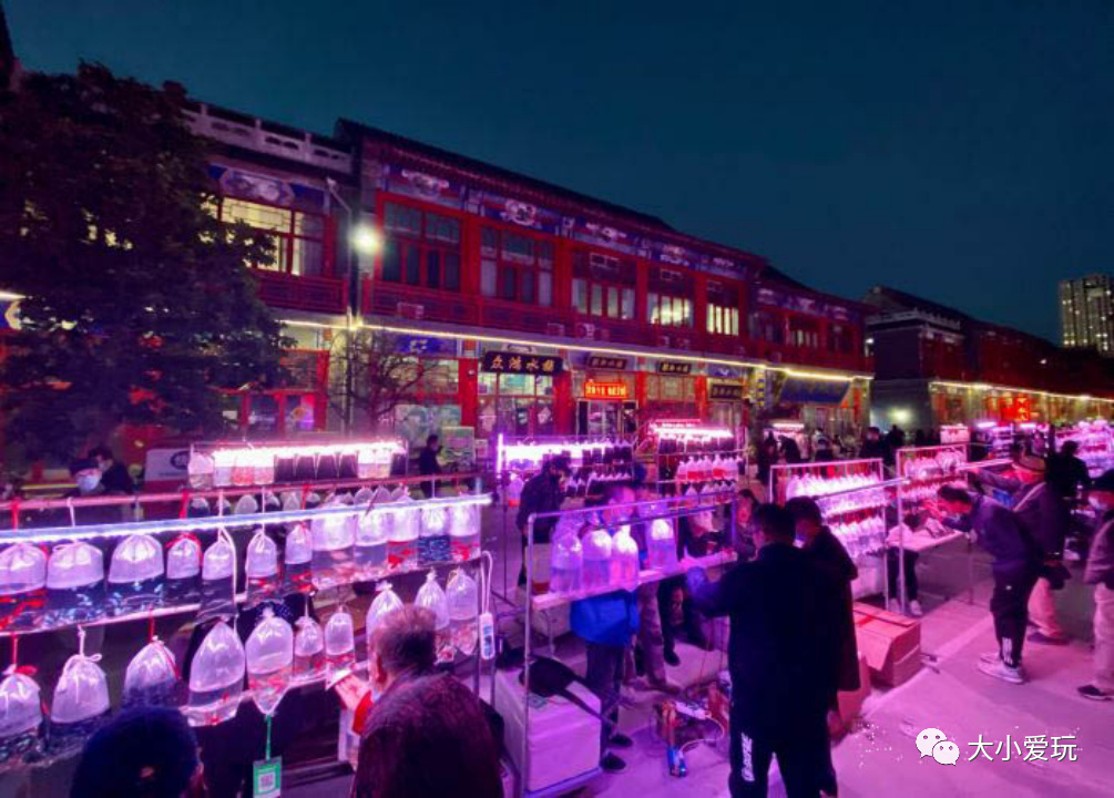 这些好吃好玩又好逛的宝藏市集回归啦！书市/鱼市/小吃夜市……