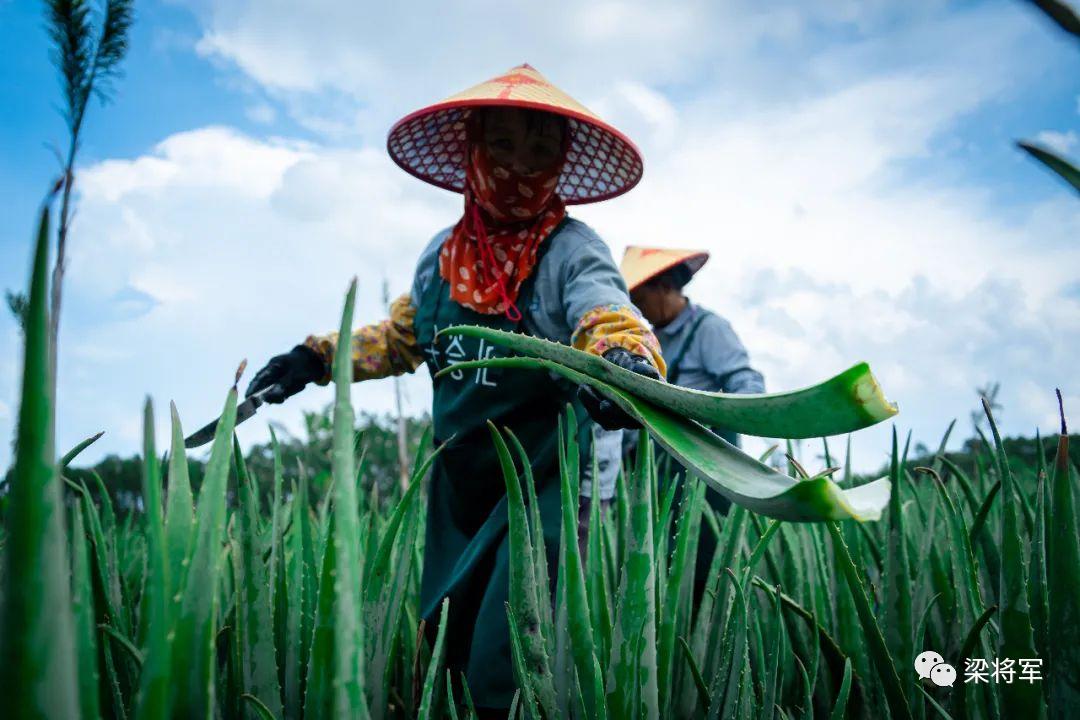 寻荟记的营销,寻荟记营销案例