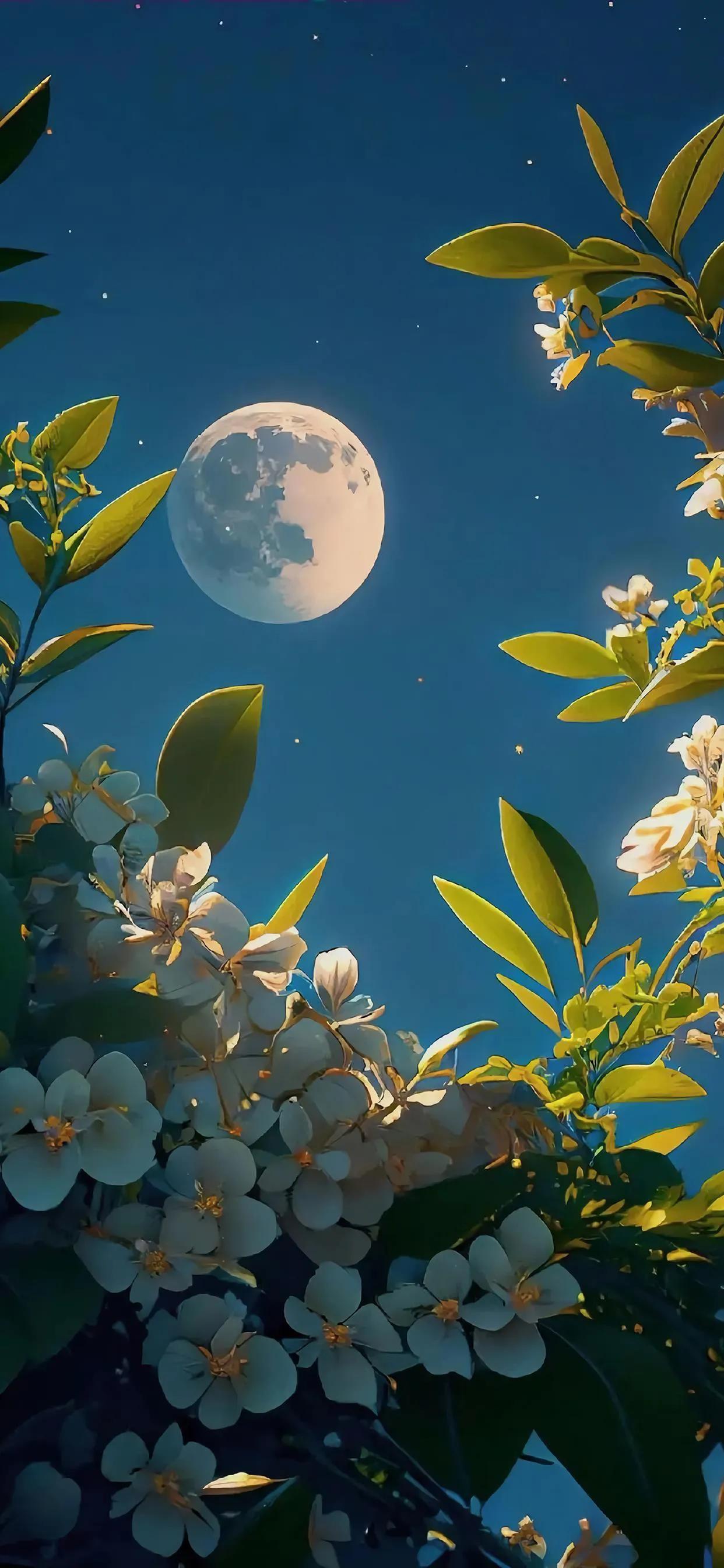 美丽的太阳高清手机壁纸,美丽的鲜花手机壁纸