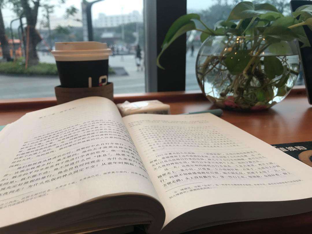 新手小白做自媒体20天的收益如何,一篇文章收益达到100