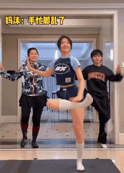 十大不务正业的明星,不务正业的明星有哪些