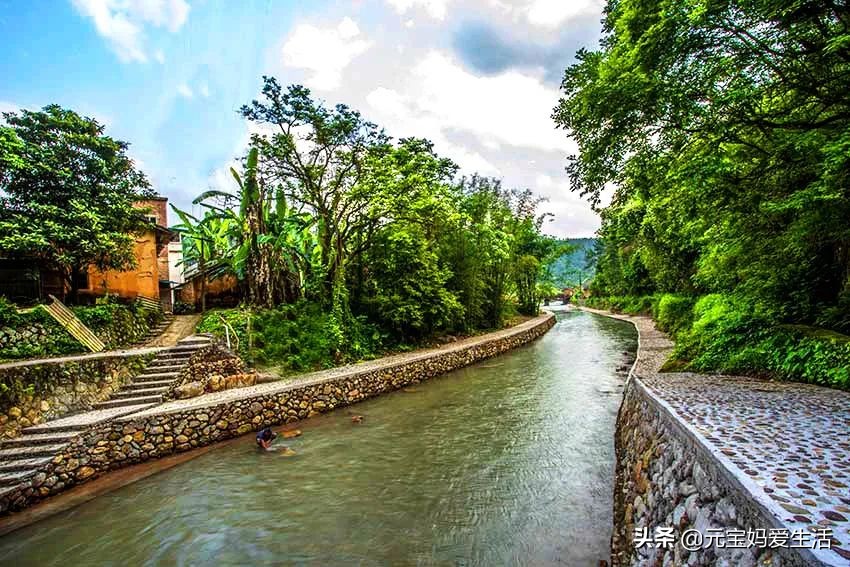 清道夫来源于哪个国家,清道夫鱼在印度是怎么栽跟头