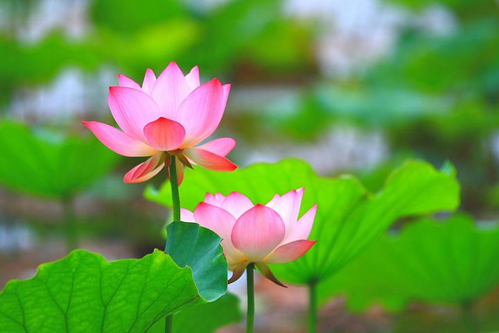 你的微信名早已暴露了你的一切,你的微信名暴露了你的性格