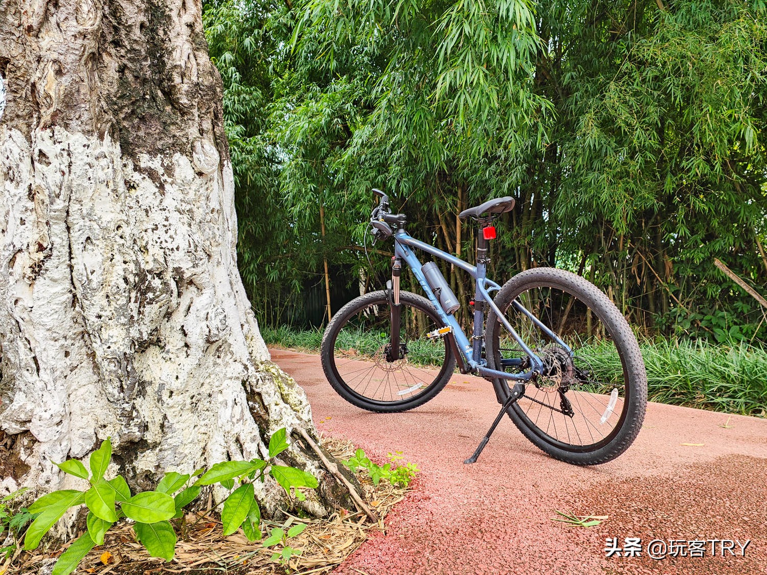 闲鱼捷安特假货多不,闲鱼卖的捷安特atx660假的吗