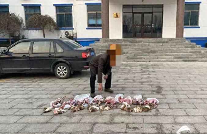 男子非法捕猎野猪被警察抓走,非法猎捕2400只鸟4名男子