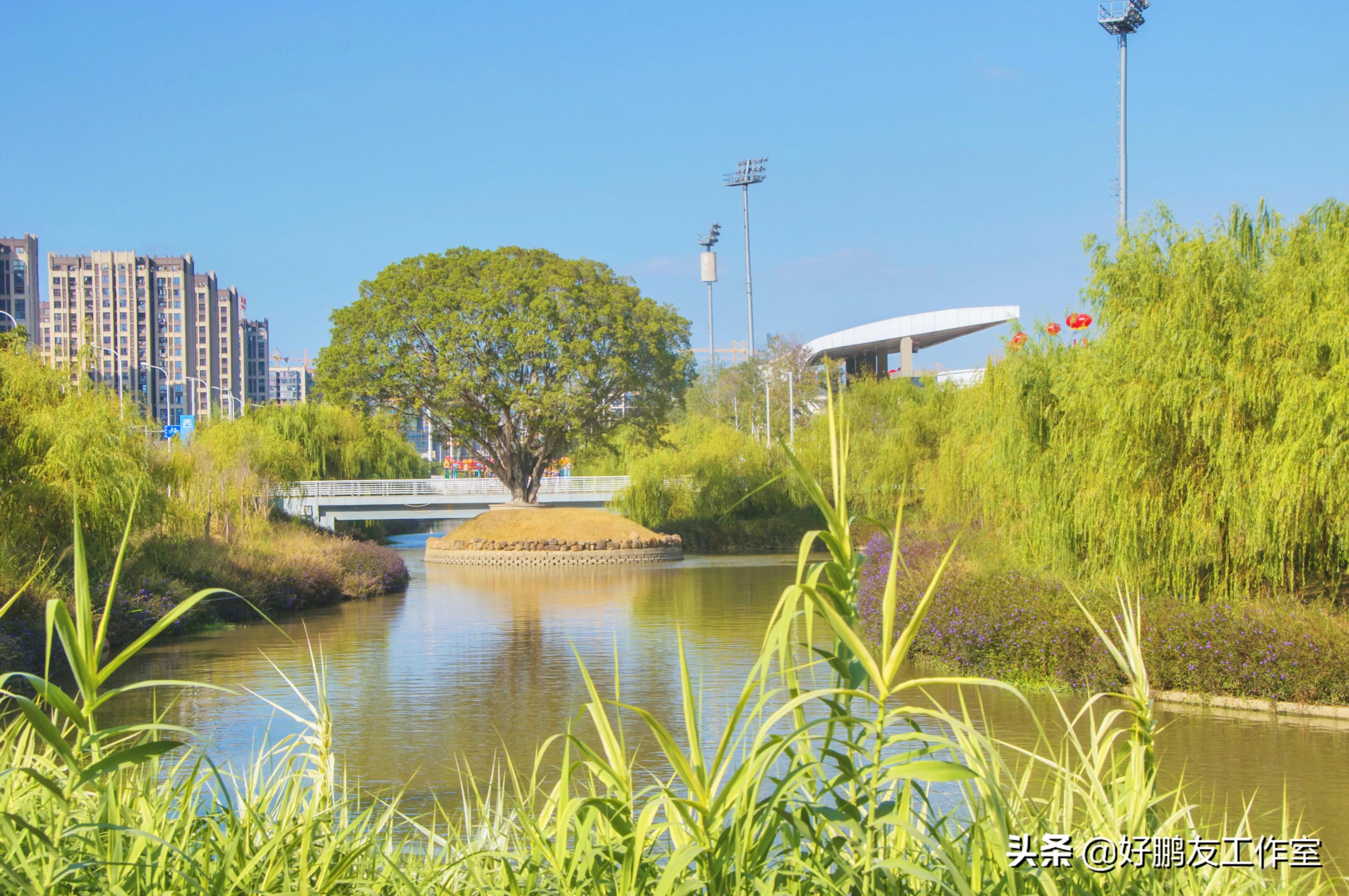 张信哲福州海峡奥体演唱会,福州海峡奥体中心演出信息